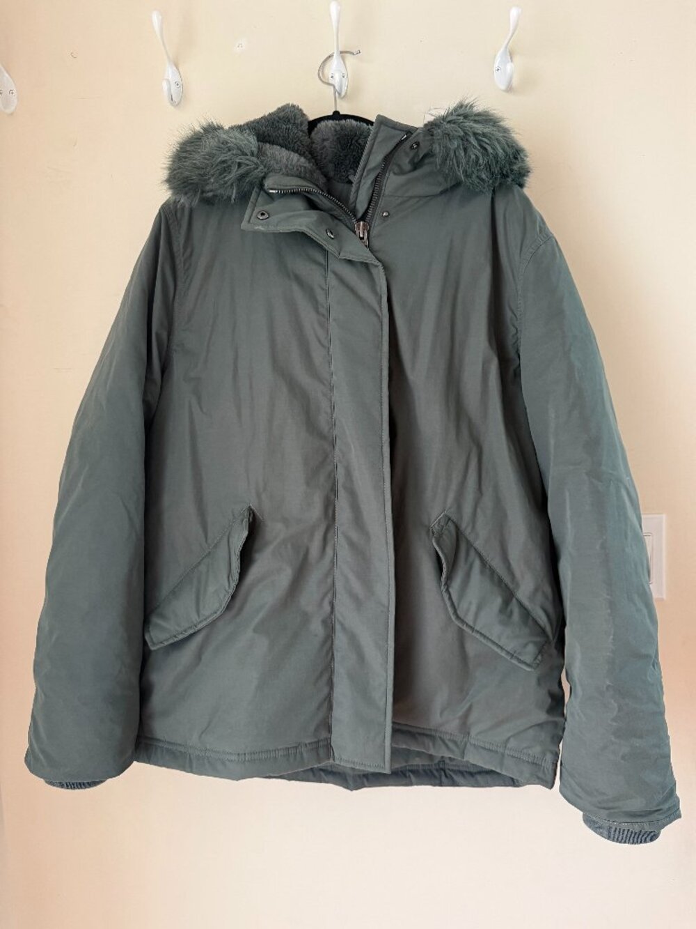 Aritzia Wilfred Mont Blanc Parka Size Medium